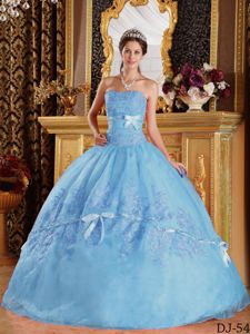 Ball Gown Strapless Appliqued Baby Blue Quinceanera Gowns