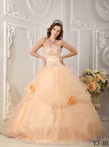 Peach Sweet 16 Quinceanera Dresses with Appliques and Flowers