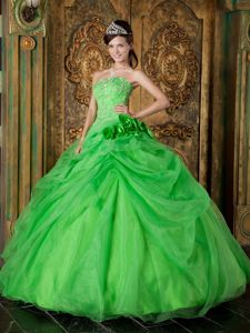 Spring Green Pick-ups Appliques Hand Made Flowers Quince Dresses