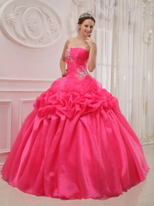 Hot Pink Strapless Pick-up Pleated Appliques Quinceanera Dress