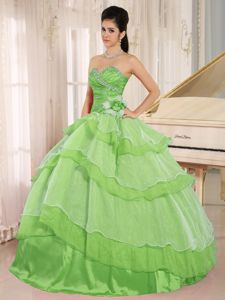 Apple Green Beaded Ruffled Quinceanera Dresses with Flower
