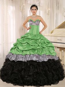 Multi-color Sweet Sixteen Quinceanera Dresses with Zebra Print