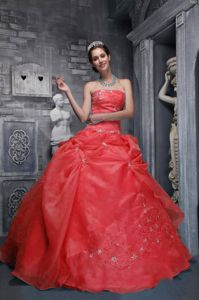 Special Red Strapless Sweet 15/16 Birthday Dress with Appliques