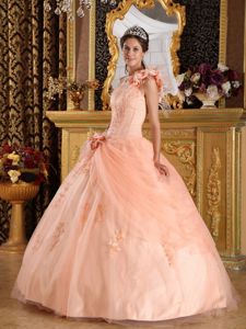 One Shoulder Ball Gown Flower Length Tulle Quinceanera Dresses