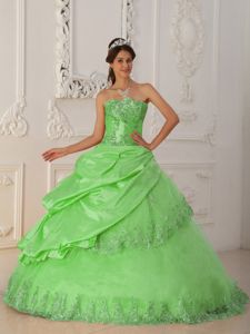 Discount Green Taffeta and Tulle Quinceanera Gown Dresses