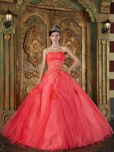 Red Sweetheart Floor-length Quinceanera Dresses with Appliques
