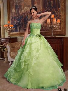 Green Floor-length Quinceanera Dresses with Ruches and Flower