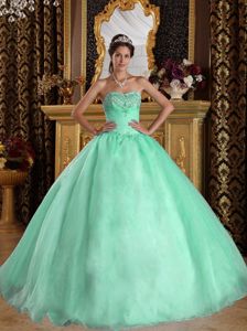 Organza Beaded Quinces Dress in Apple Green with Sweetheart