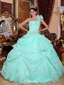 One Shoulder Sweet Sixteen Dresses with Appliques in Organza