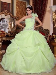 Yellow Green One Shoulder Appliques Sweet 16 Dresses