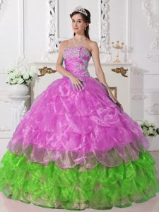 Colorful Strapless Dresses Of 15 in Organza with Appliques