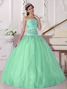 Apple Green Ball Gown Strapless Beading 2014 Quinceanera Dress