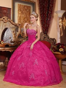 Cute Strapless Appliques Quinceanera Dress with Laced Up
