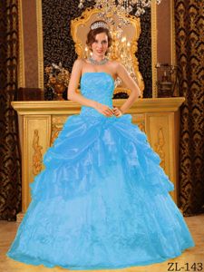 2013 Aqua Blue Strapless Quinceanera Dress by Organza with Appliques