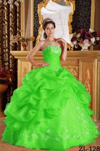 Spring Green Strapless Quinceanera Gown dress by Organza with Pick-ups