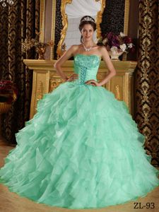 Ruffled Apple Green Ball Gown Sweet 15 Dress with Embroidery