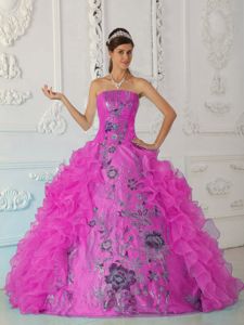 Ball Gown Strapless Embroidery Fuchsia Dress for Sweet 16