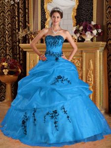 Blue Pick-ups Dresses for a Quinceanera with Black Embroidery