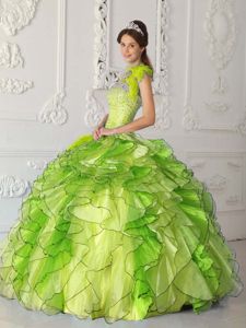 Custom Made Ruffled Yellow Green Feather Quinceanera Dresses