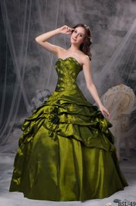 Olive Green Sweetheart Appliqued Pick-ups Dress for Quinceanera