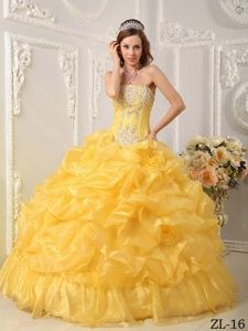 Attractive Gold Beading Pick-ups Organza Quince Gown