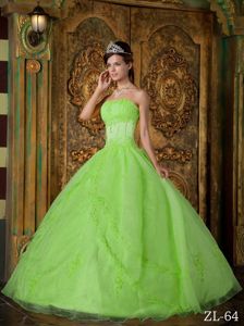 Spring Green Strapless Bodice Embroidery Quinceanera Gown