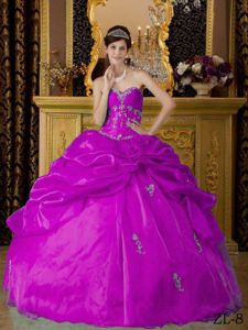 Fuchsia Sweetheart Pick-ups Appliques Dresses for a Quince