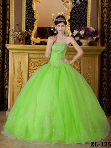Cute Spring Green Strapless Organza Beading Sweet 16 Dresses