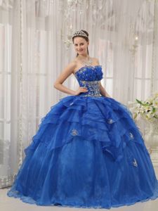 Blue Floor-length Beaded Organza Quinceanera Dress with Appliques