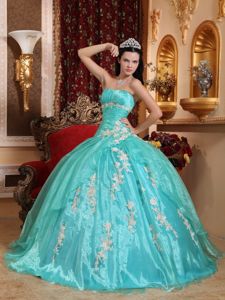 Turquoise Floor-length Organza Quinceanera Dress with Appliques