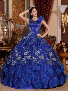 2014 Royal Family Blue Ball Gown V-neck Dress for Quinceaneras with Appliques