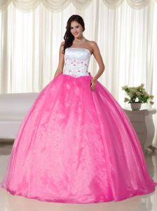 Rose Pink Ball Gown Floor-length Quinceanera Gown Dresses