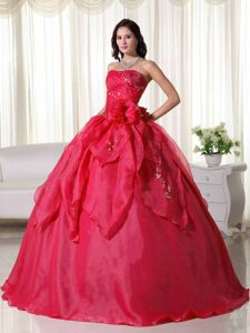 Brand New Appliqued Red Sweet Sixteen Quinceanera Dresses