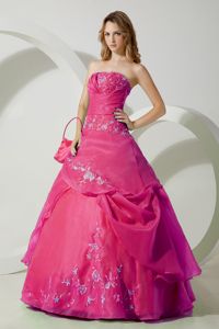 Pretty Hot Pink Strapless Dress for Sweet 15 with Embroidery