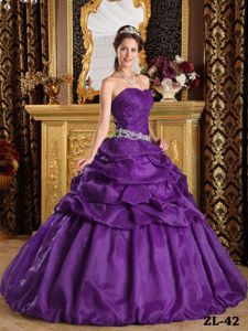 Elegant Purple Pick-ups Taffeta Quinces Dresses with Ruched Bodice