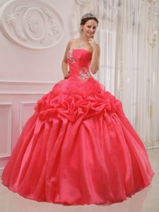 Newest Red Ball Gown Strapless Quinceanera Dress with Appliques