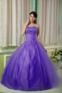 Purple Strapless Beading Ruched Bodice Dress for Quince Plus