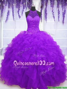Elegant Ball Gowns Quinceanera Gowns Purple High-neck Organza Sleeveless Floor Length Lace Up