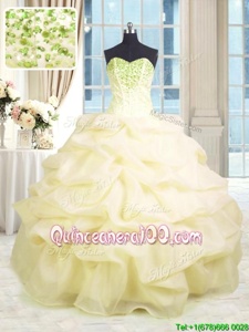 Customized Sleeveless Lace Up Floor Length Beading and Ruffles Quinceanera Dress