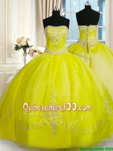 Custom Fit Sleeveless Lace Up Floor Length Beading and Embroidery Quinceanera Dresses