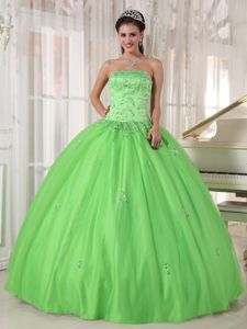 Spring Green Strapless Sweet Sixteen Dresses with Appliques Plus