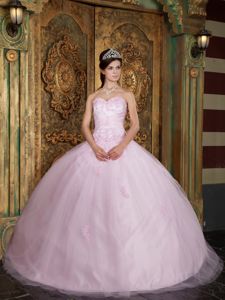 Appliques Decorate Sweetheart Baby Pink Quinceanera Gowns Dresses