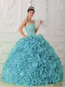 Organza Ball Gown Dresses 15 with Beading and Rolling Flowers