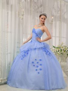 Appliqued and Ruched Dress for A Quinceanera in Light Blue