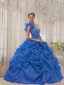 Appliqued Blue Dresses for A Quinceanera with Flowery One Shoulder