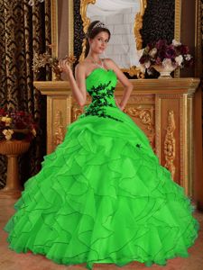 Ruched and Ruffled Spring Green Sweet 16 Dresses with Appliques