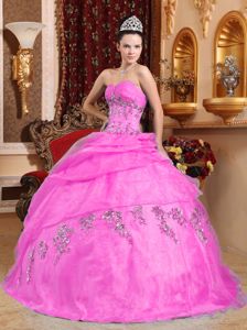 Rose Pink Sweetheart Organza Quinceanera Dresses with Appliques