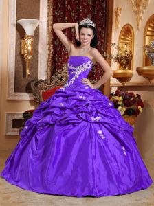 Purple Taffeta Quinceanera Gown Dresses with Appliques and Pick ups