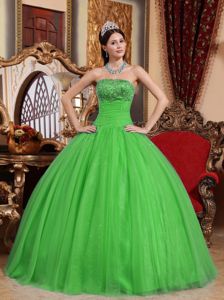 Spring Green Strapless Tulle Quinces Dresses with Appliques 2015