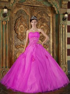 Inexpensive Organza Fuchsia Sweet Fifteen Dresses with Appliques